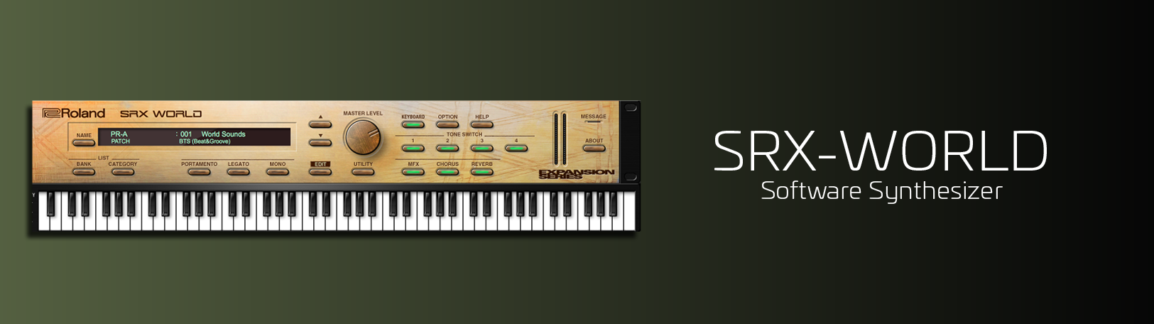 DTM・DAW Roland SRX-09 World collection DTM・DAW Roland SRX-09 World Collection Roland SRX-09 World